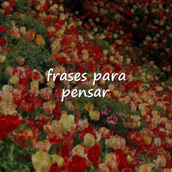 frases para pensar - 2026