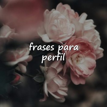 frases para perfil - 2026