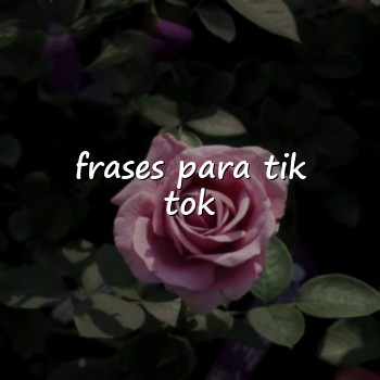frases para tik tok - 2026