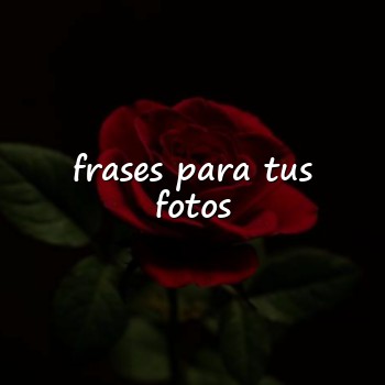 frases para tus fotos - 2026
