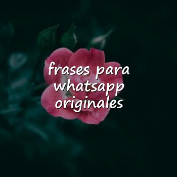 frases para whatsapp originales - 2026