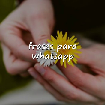 frases para whatsapp - 2026