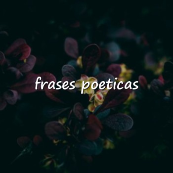 frases poeticas - 2026