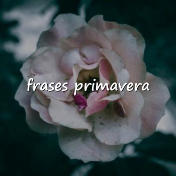 frases primavera - 2026