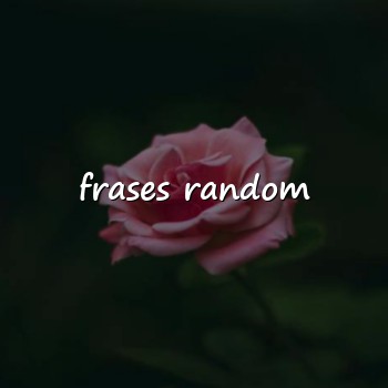 frases random - 2026