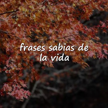 frases sabias de la vida - 2026