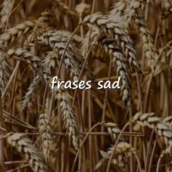 frases sad - 2026