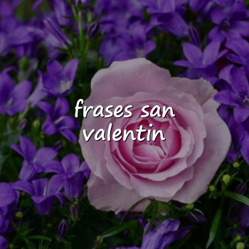 frases san valentin - 2026