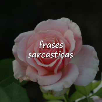 frases sarcasticas - 2026