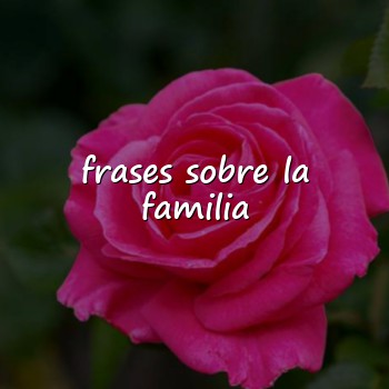 frases sobre la familia - 2026