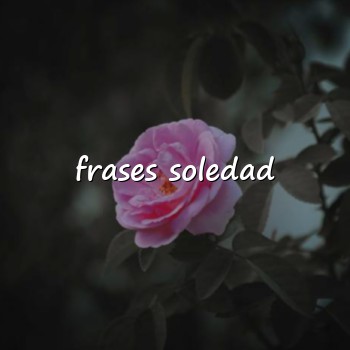 frases soledad - 2026