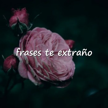 frases te extraño - 2026