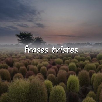 frases tristes - 2026
