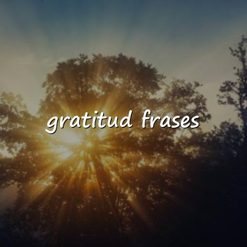 gratitud frases - 2026