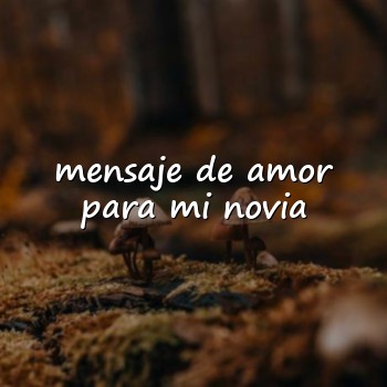 mensaje de amor para mi novia - 2026