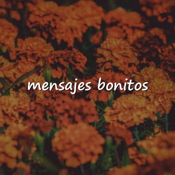 mensajes bonitos - 2026