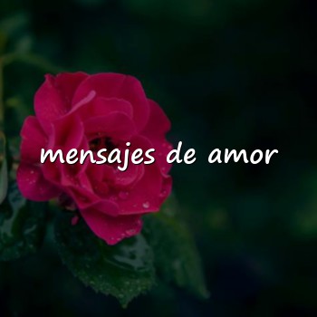 mensajes de amor - 2026