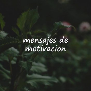 mensajes de motivacion - 2026