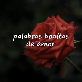 palabras bonitas de amor - 2026