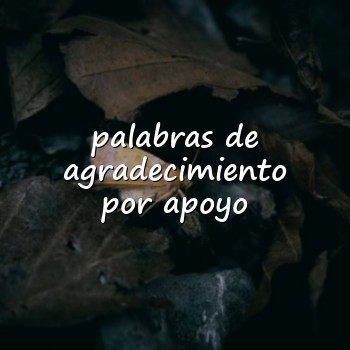 palabras de agradecimiento por apoyo - 2026
