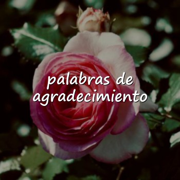 palabras de agradecimiento - 2026