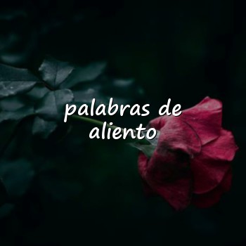 palabras de aliento - 2026