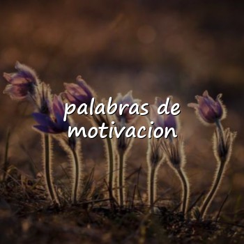 palabras de motivacion - 2026