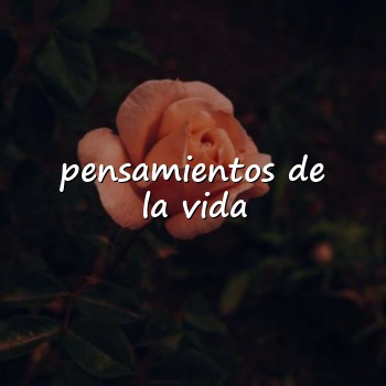 pensamientos de la vida - 2026