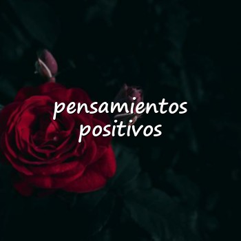 pensamientos positivos - 2026