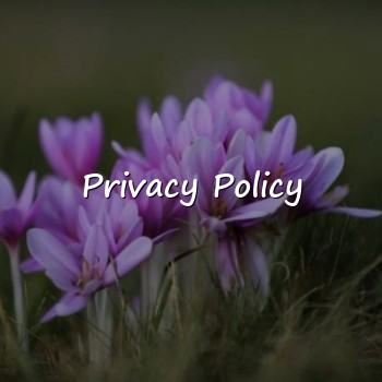 Privacy Policy - 2026
