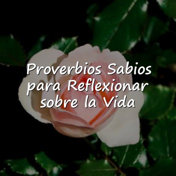 Proverbios Sabios para Reflexionar sobre la Vida - 2026