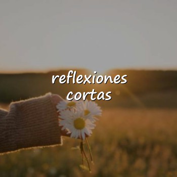 reflexiones cortas - 2026