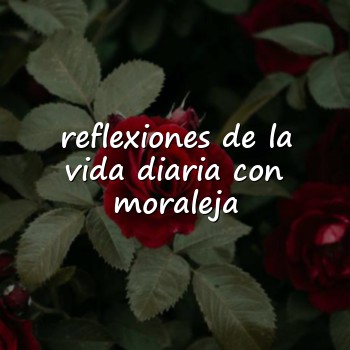 reflexiones de la vida diaria con moraleja - 2026