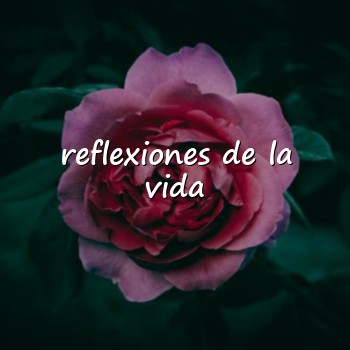 reflexiones de la vida - 2026