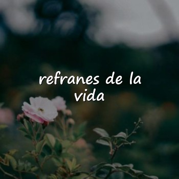 refranes de la vida - 2026