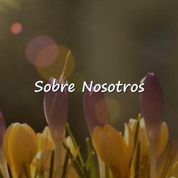 Sobre Nosotros - 2026