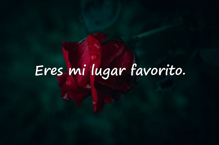 Imágenes cosas lindas para decirle a mi novia por mensaje - 16