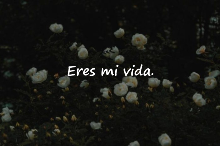Imágenes cosas lindas para decirle a mi novia por mensaje - 12