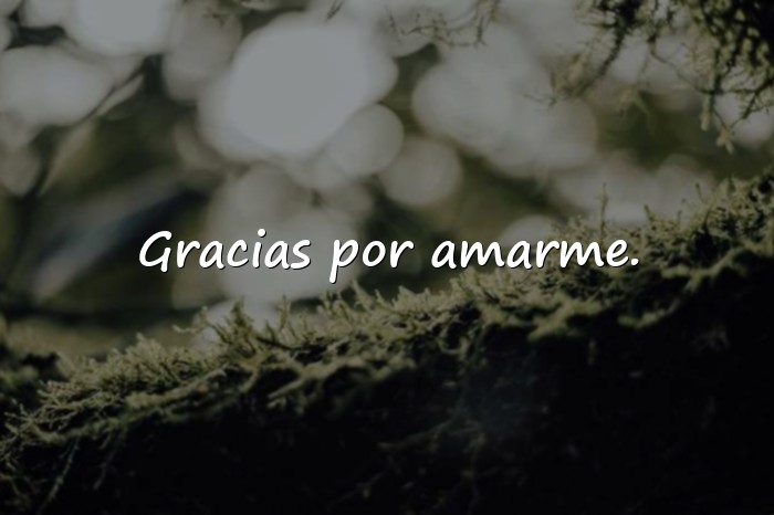 Imágenes cosas lindas para decirle a mi novia por mensaje - 3