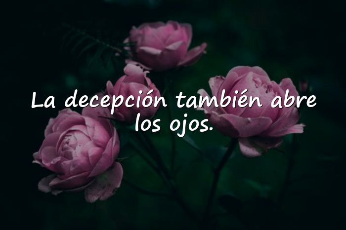 Imágenes decepcion frases - 10