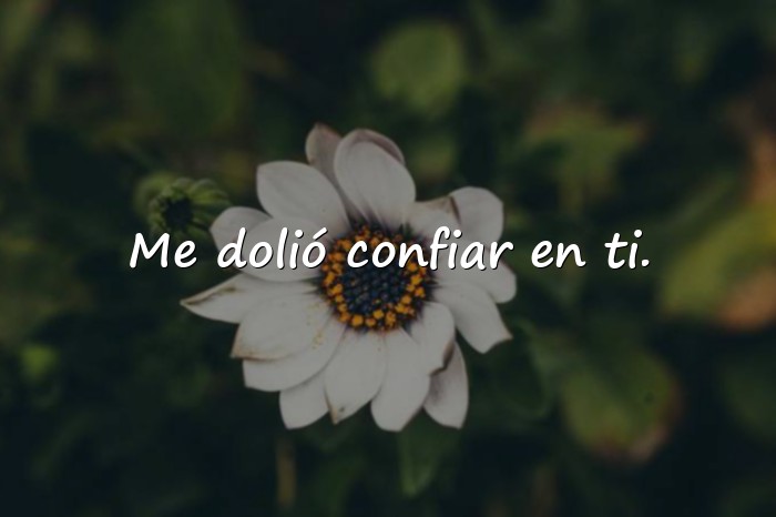 Imágenes decepcion frases - 5