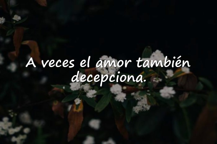 Imágenes decepcion frases - 21