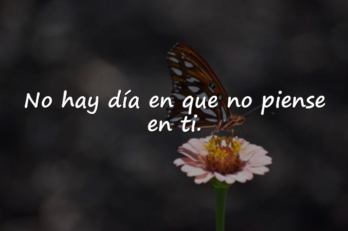 Imágenes dedicatorias de amor - 10
