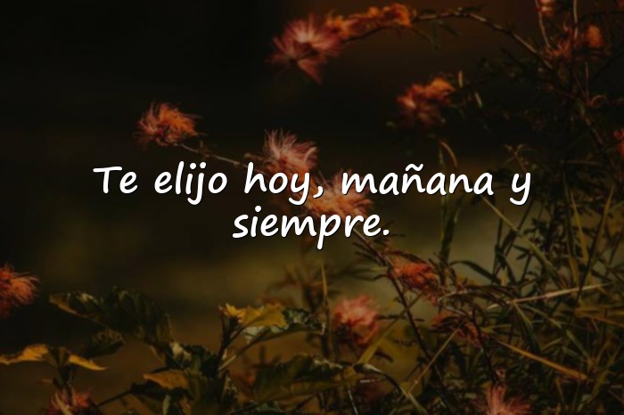 Imágenes dedicatorias de amor - 5