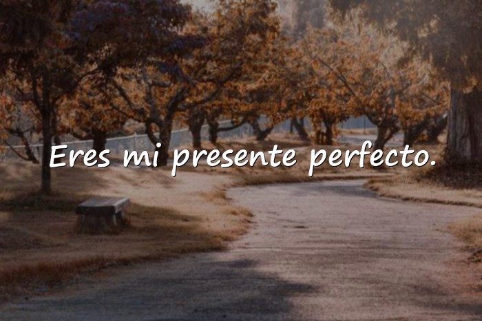 Imágenes dedicatorias de amor - 2