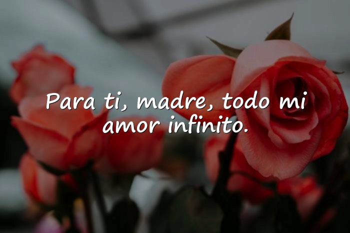 Imágenes dedicatorias para las madres - 18