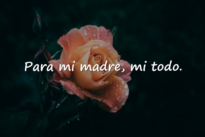 Imágenes dedicatorias para las madres - 13