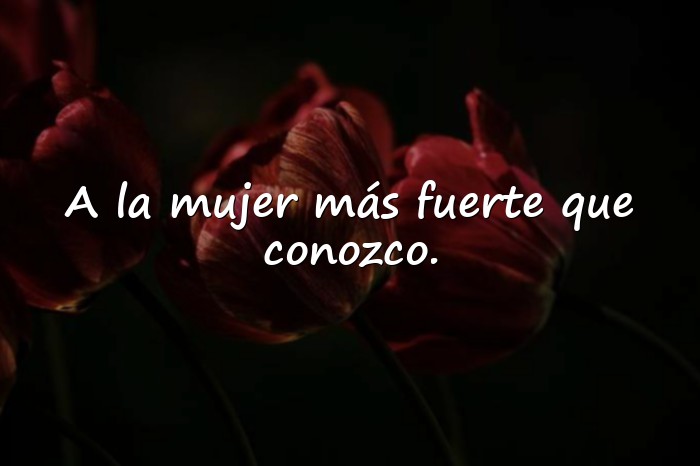 Imágenes dedicatorias para las madres - 8