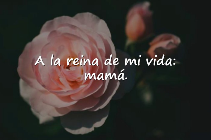 Imágenes dedicatorias para las madres - 24