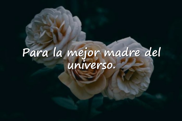 Imágenes dedicatorias para las madres - 19